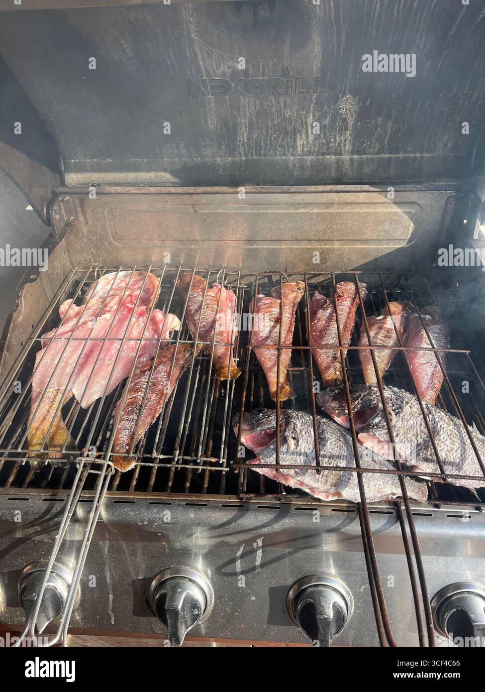 Fresh fish and meat grilling over hot flames on a barbecue grill. - Smartphone Captured Stock Image