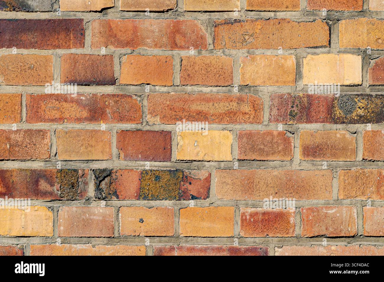 Bright, colorful bricks in warm tones ranging from orange to yellow, sunlit and lively. Stock Photo