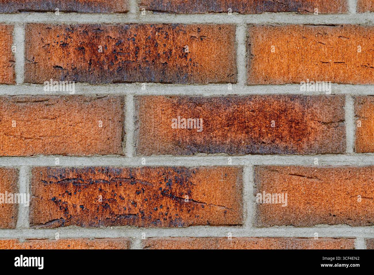 Red brick wall with dark stains, discoloration and surface irregularities. Rough textures and bluish-red tones suggest age, weathering, resilience. Stock Photo