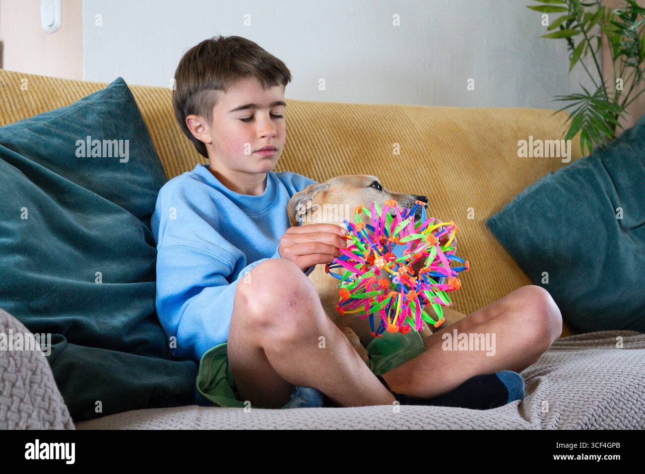 Child playing with an expanding sphere toy while sitting on a sofa with his dog Stock Photo