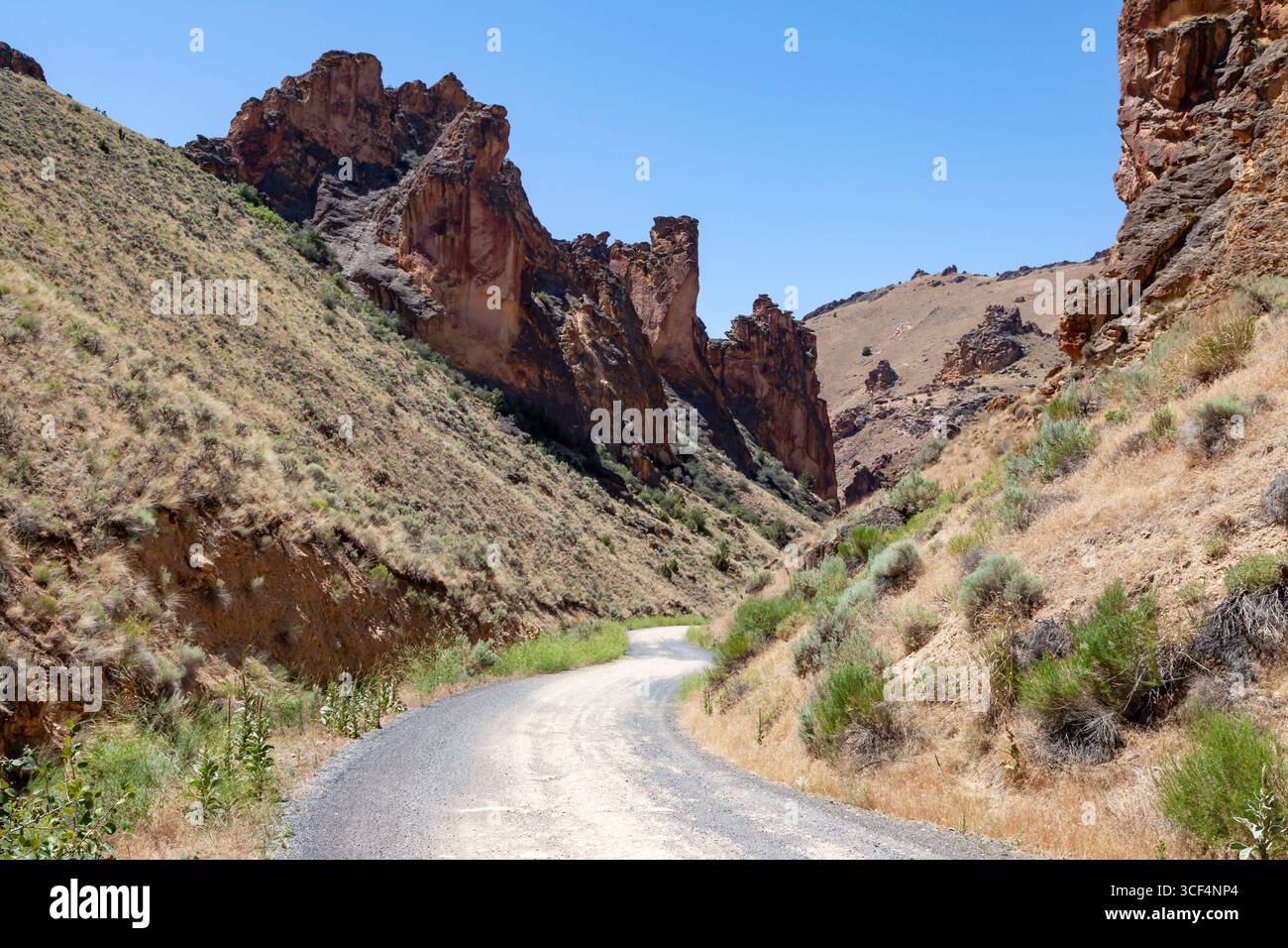 Leslie Gulch Road winds through the basalt spires that rise from the caldera floor at the Leslie Gulch Area of Critical Environmental Concern in Orego Stock Photo