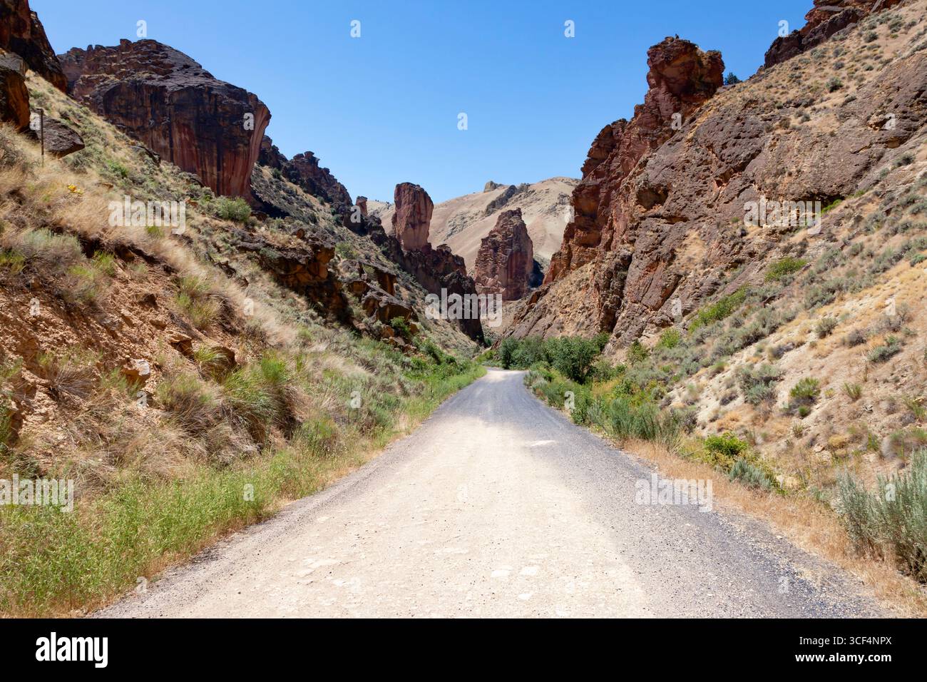 Leslie Gulch Road winds through the basalt spires that rise from the caldera floor at the Leslie Gulch Area of Critical Environmental Concern in Orego Stock Photo