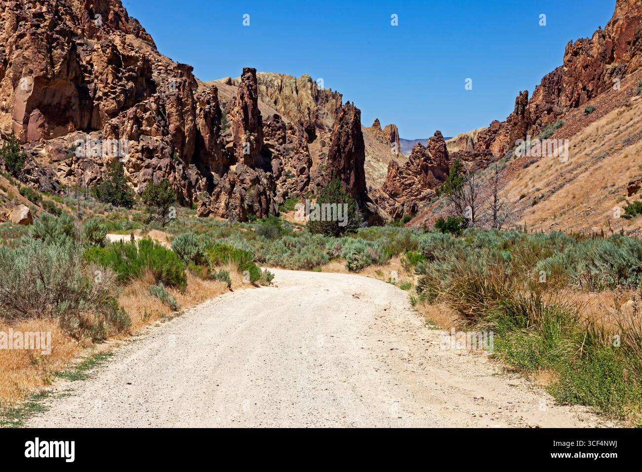 Leslie Gulch Road winds through the basalt spires that rise from the caldera floor at the Leslie Gulch Area of Critical Environmental Concern in Orego Stock Photo
