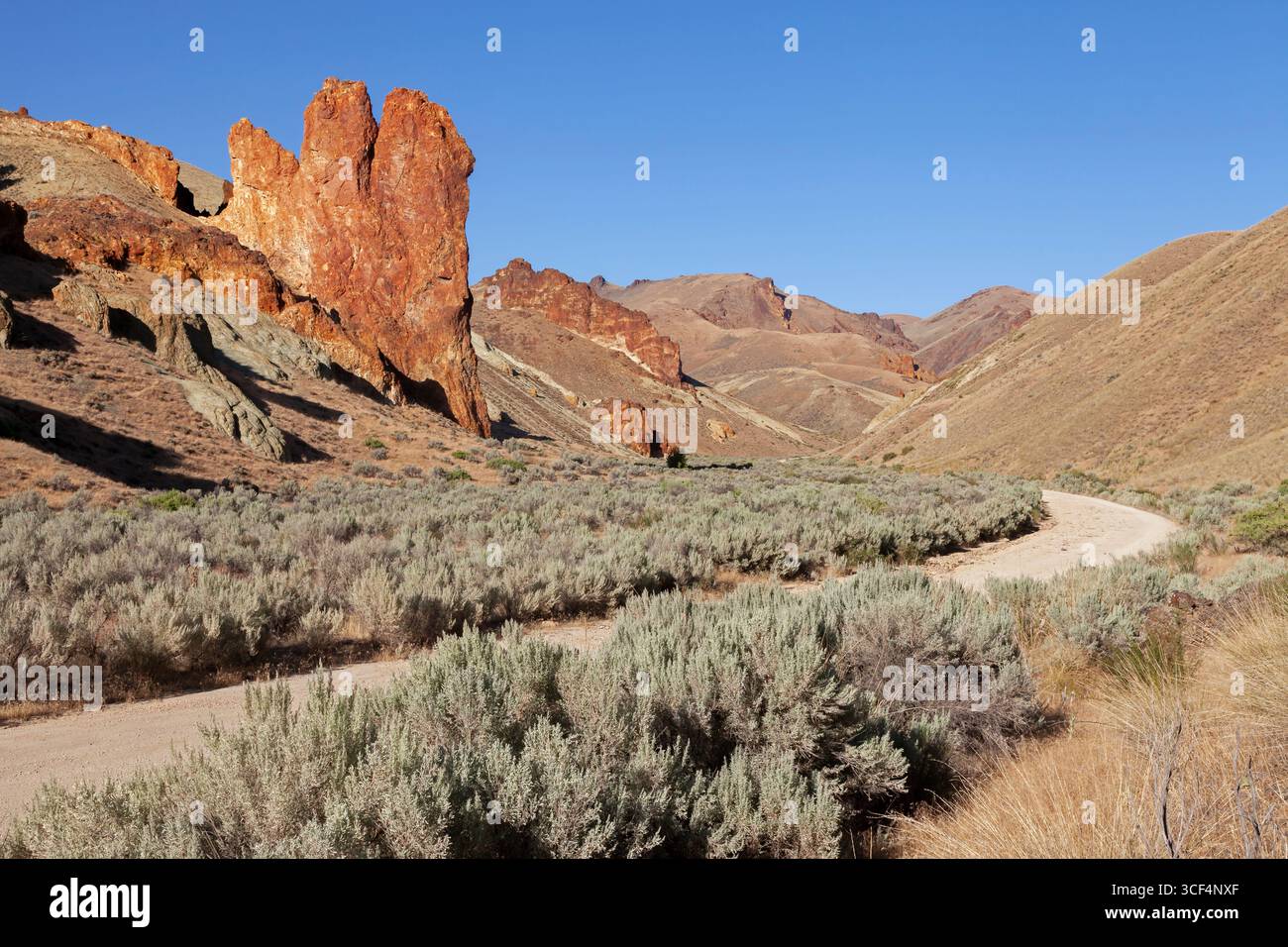 Leslie Gulch Road winds through the basalt spires that rise from the caldera floor at the Leslie Gulch Area of Critical Environmental Concern in Orego Stock Photo