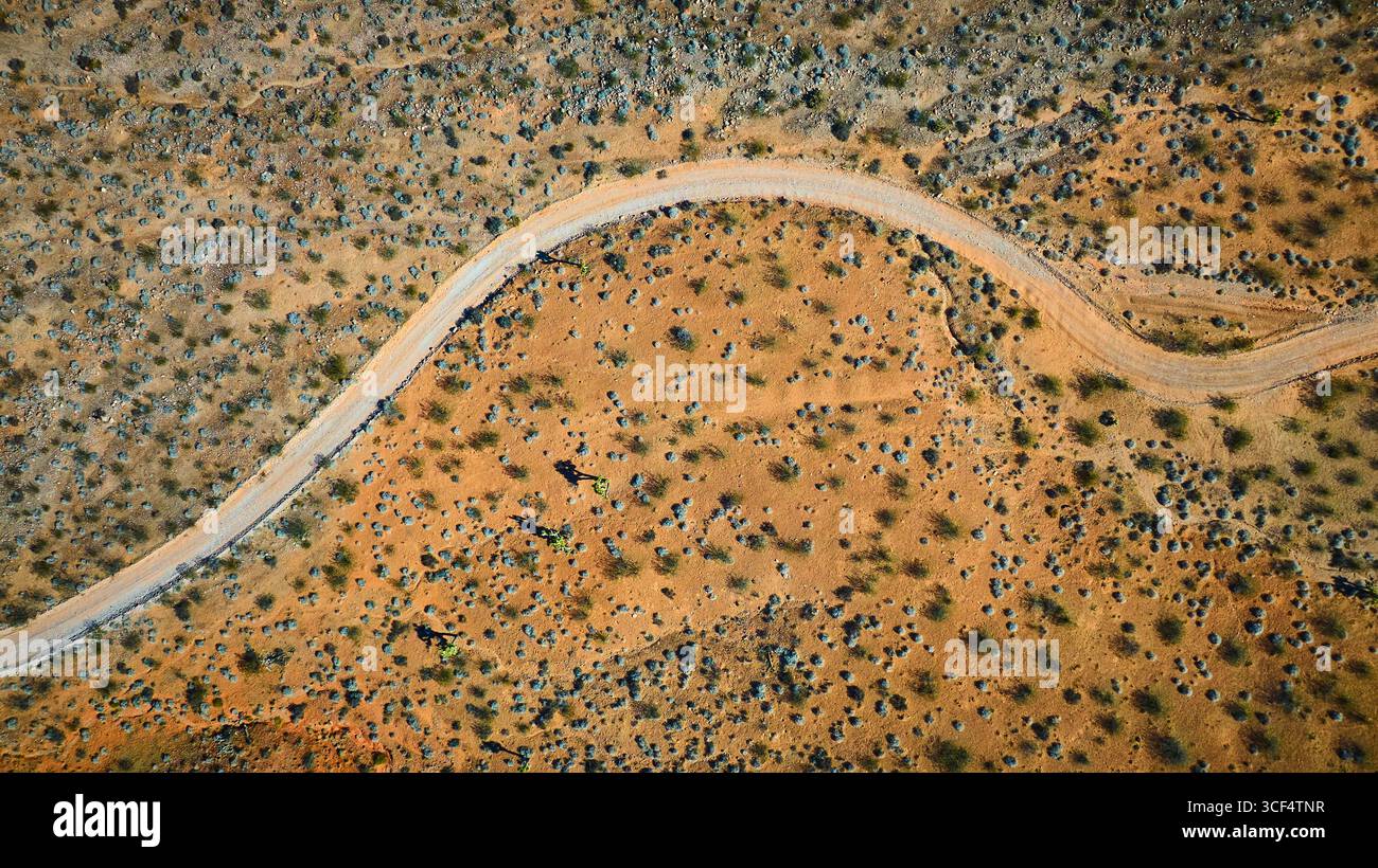 Aerial Winding Dirt Road and Desert Landscape with Vegetation Top Down ...