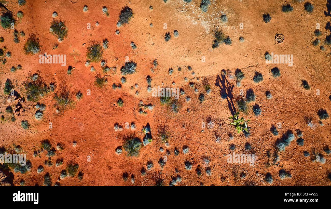 Aerial Red Desert Landscape With Joshua Tree Shadow And Desert Shrubs ...
