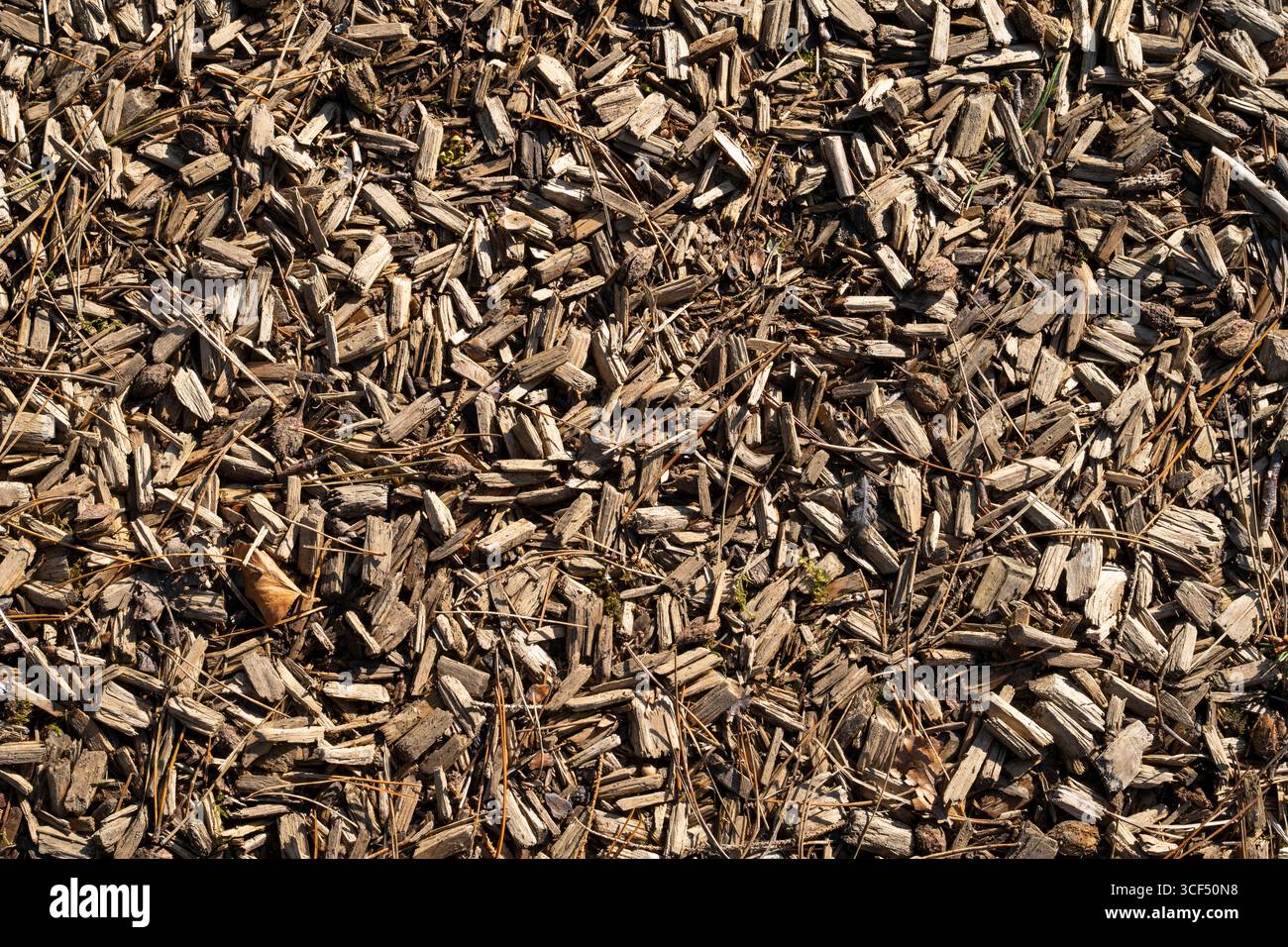 Wood chips, Wood chips, Wallpaper Stock Photo