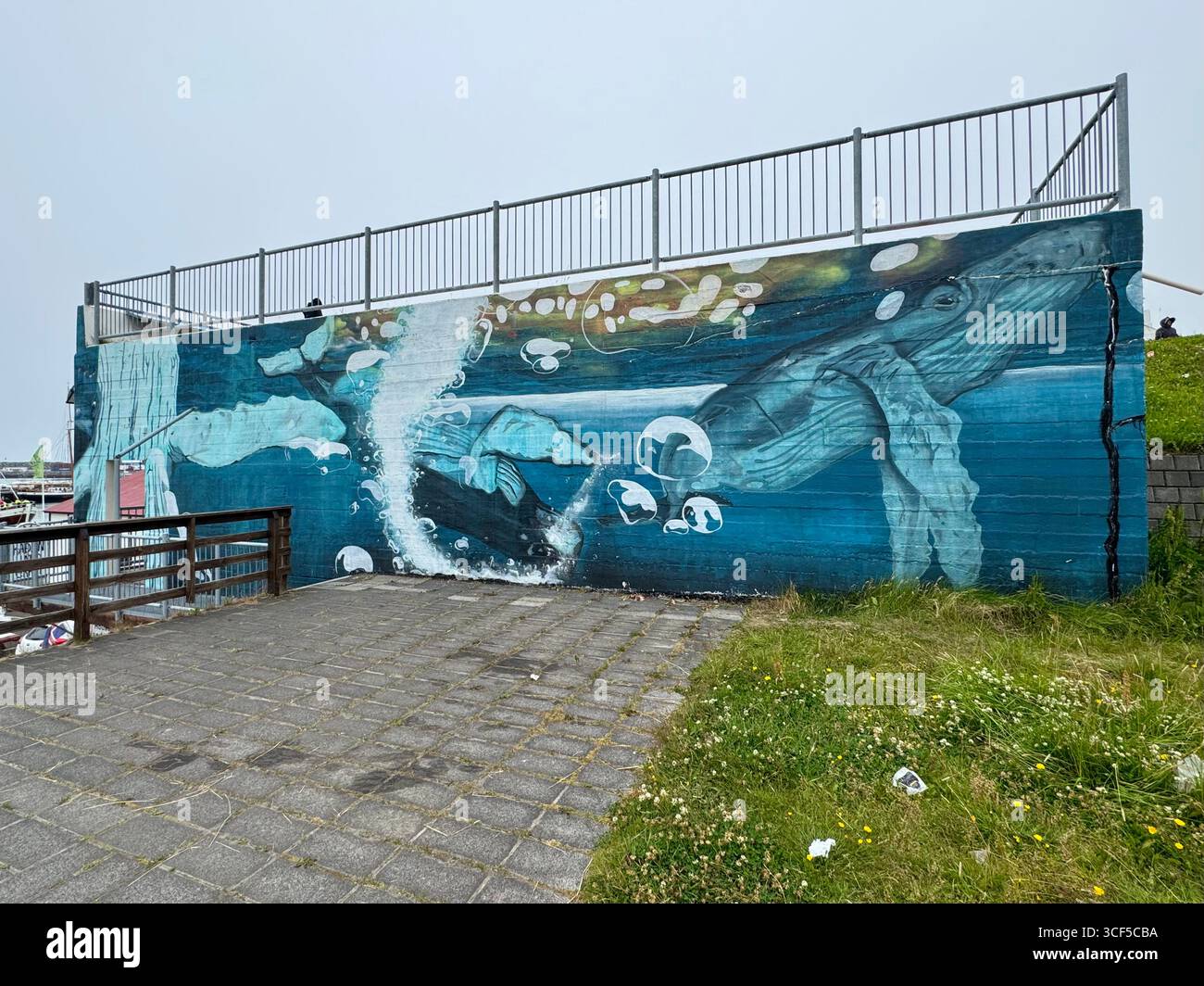 Walking the hill path between Hafnarstétt and Gardarsbraut streets near Husavik harbor is a beautiful mural of whales on the side of a building. - Smartphone Captured Stock Image