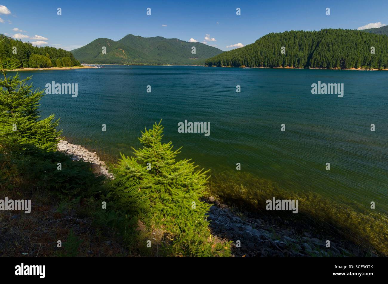 Detroit Lake, Willamette National Forest, Marion County, Oregon, USA ...