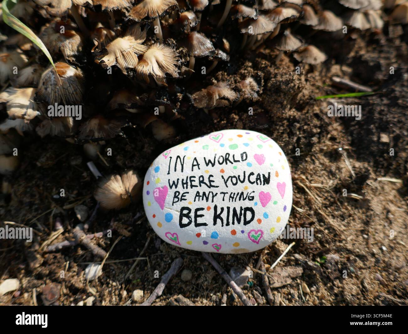 Be kind kindness rock and forest fungus environment Stock Photo - Alamy