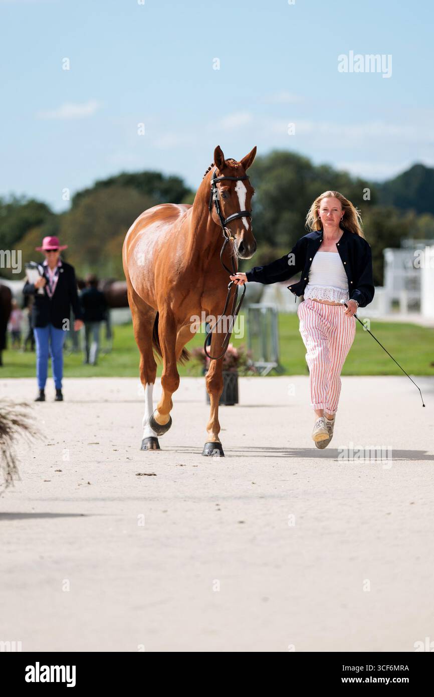 Eliza Bell Of Great Britain With Echo Cove Eb During The First Horse eliza-bell-of-great-britain-with-echo-cove-eb-during-the-first-horse