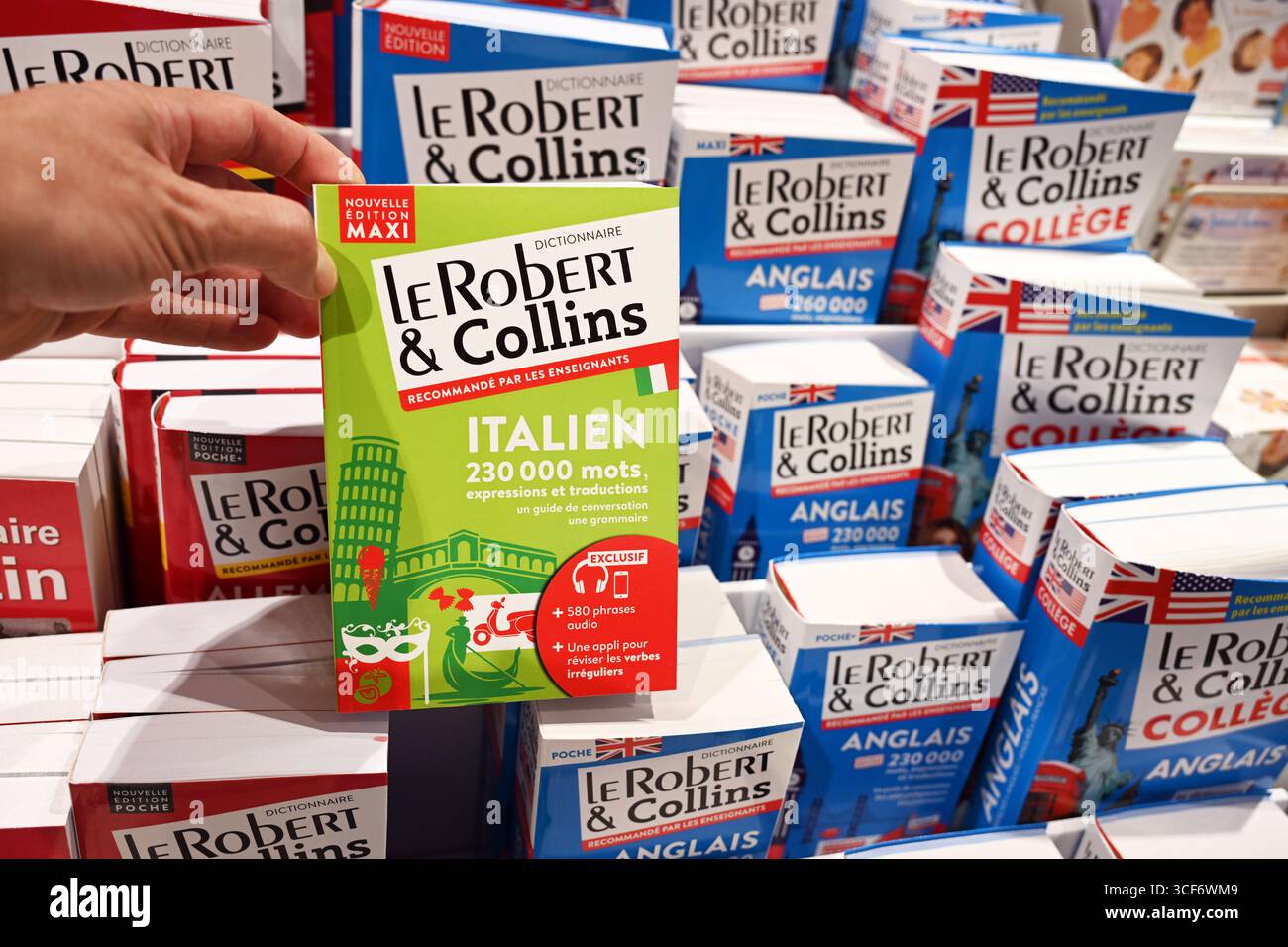 Assortment bilingual dictionaries in a store Stock Photo