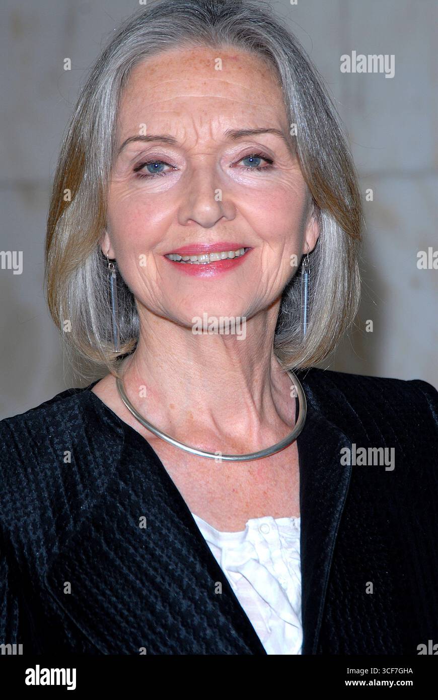 Anna Ford at the Women of the Year Awards at the Intercontinental Hotel in London - 15 October 2007 Stock Photo