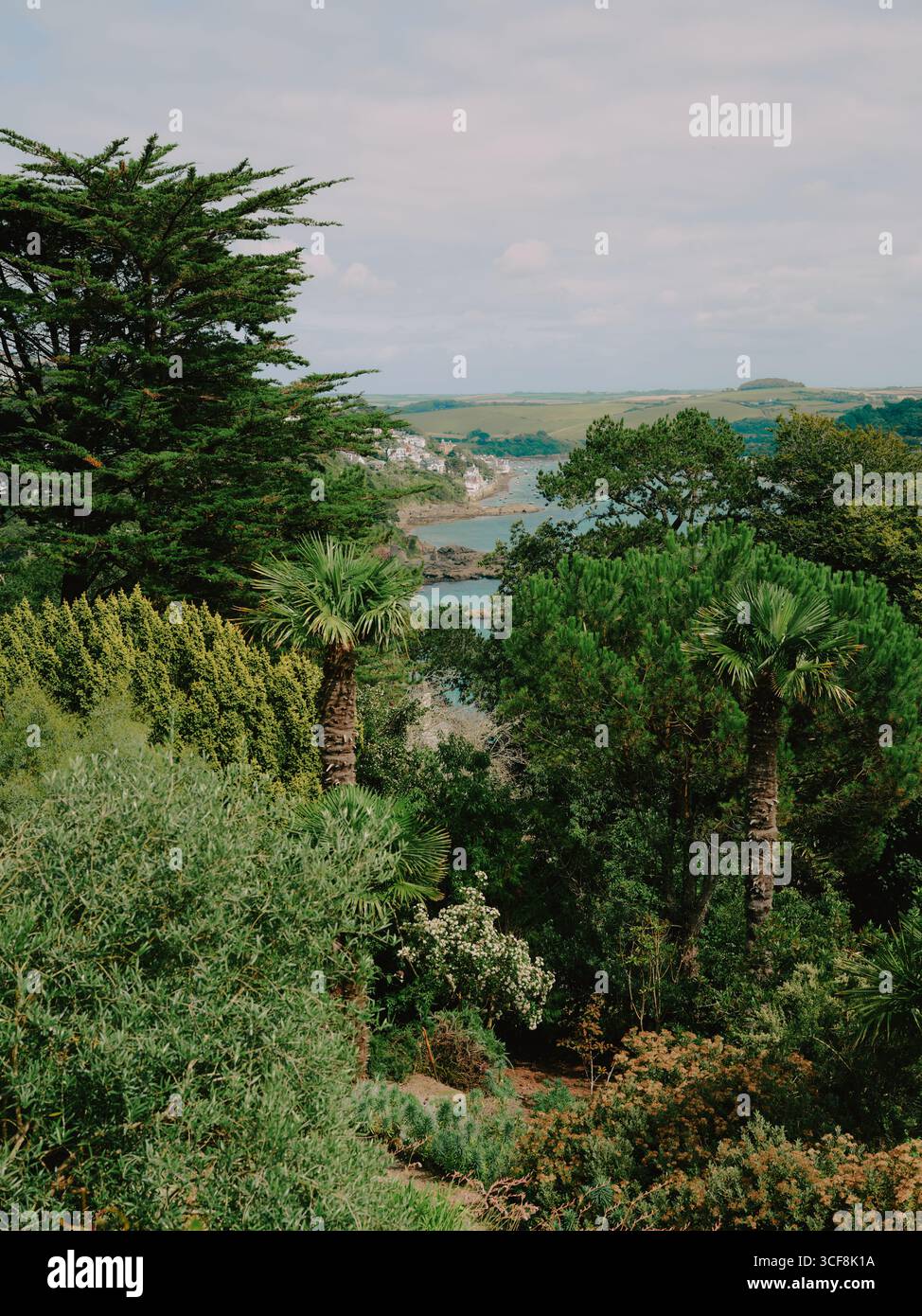 Overbeck's Garden at Sharpitor is an Edwardian subtropical Grade II registered garden at Sharpitor, Salcombe, Devon, England UK Stock Photo