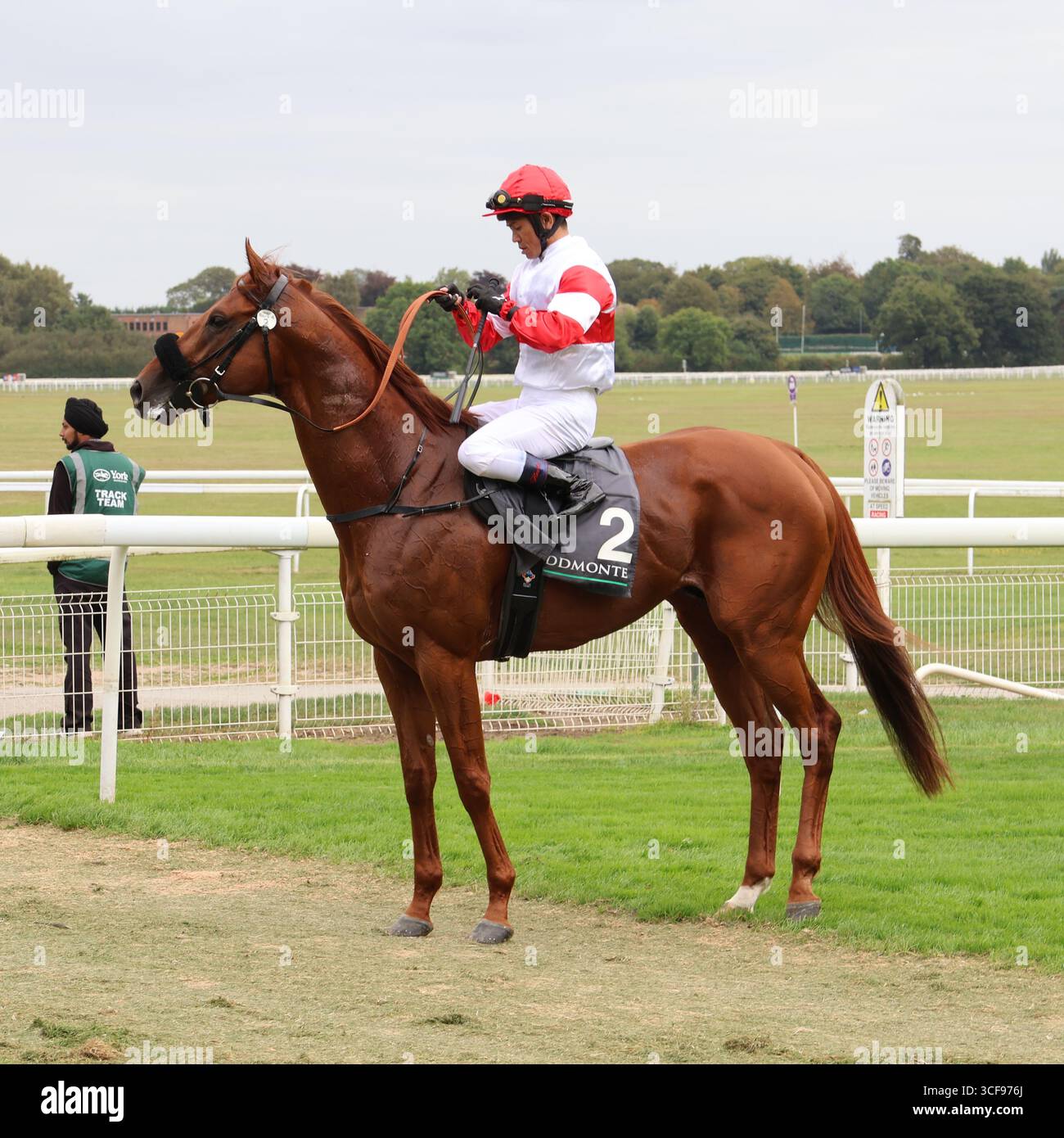 Tokyo yushun hi-res stock photography and images - Alamy
