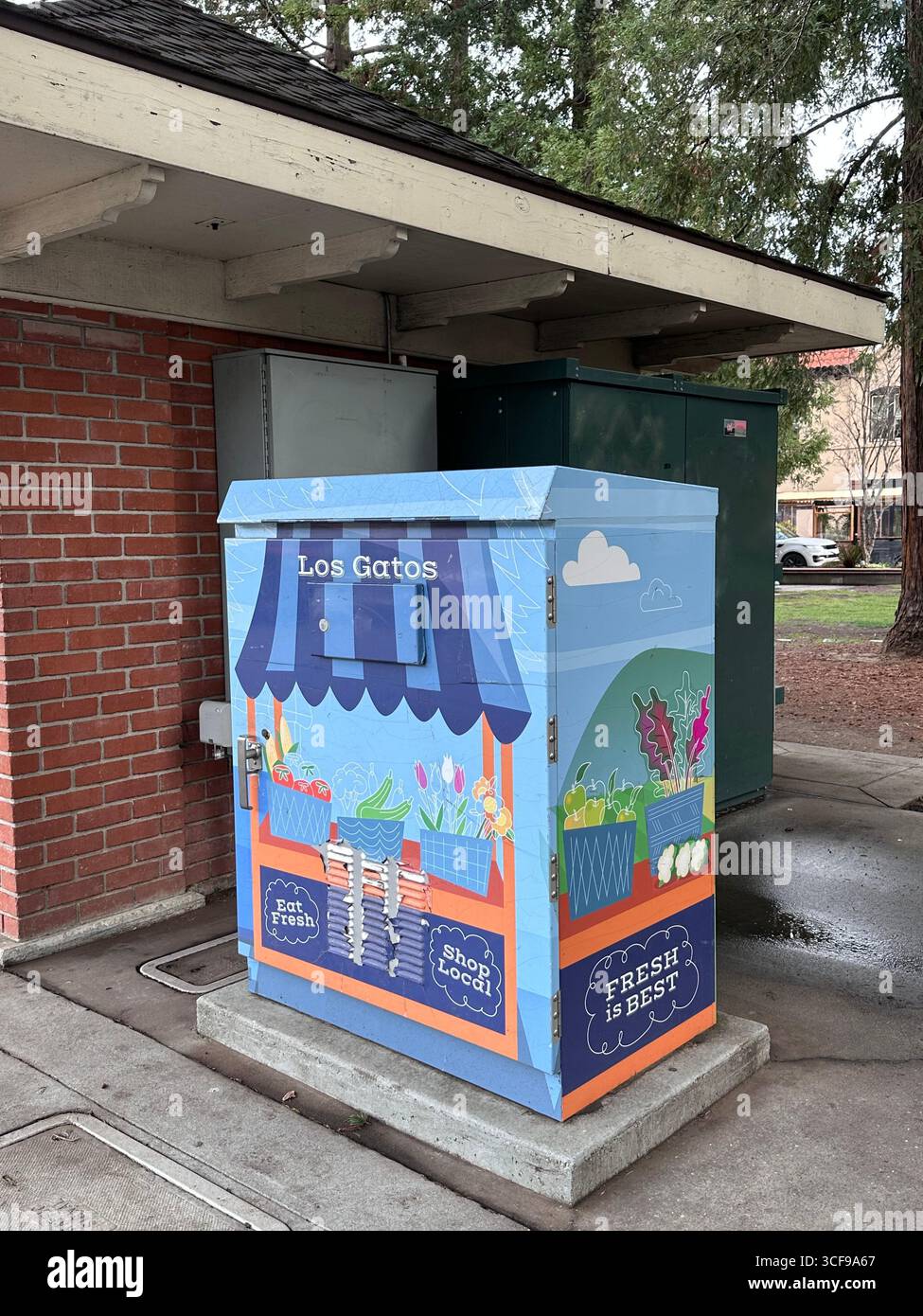 Painted utility box street art in Los Gatos - Smartphone Captured Stock Image