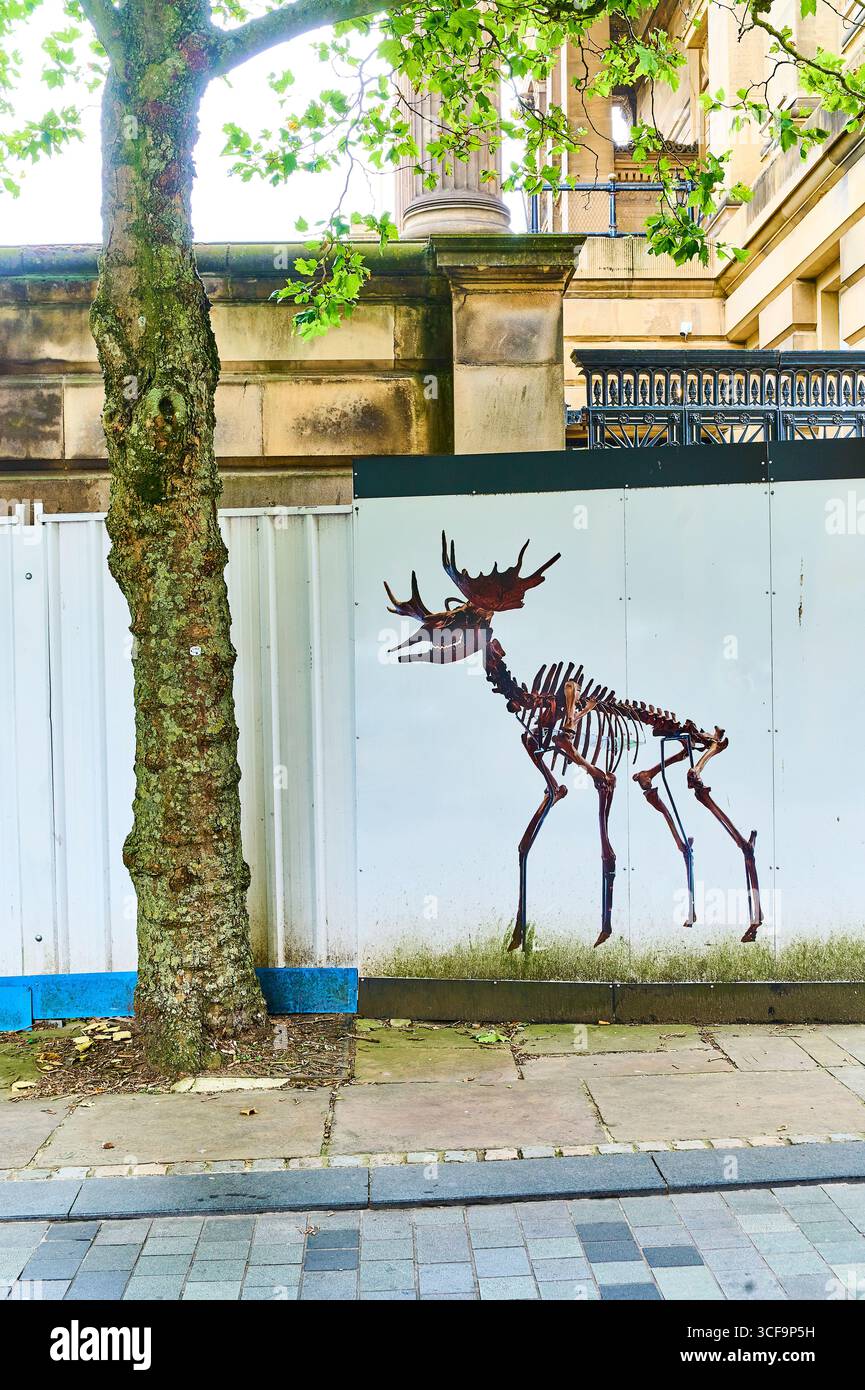 Animal skelton graphic image on building hoarding,UK Stock Photo