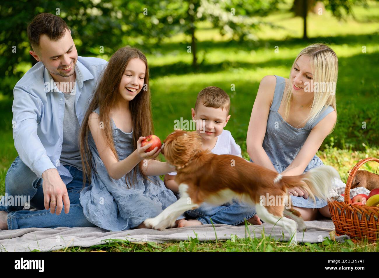 Happy family couple dog runs hi-res stock photography and images - Alamy