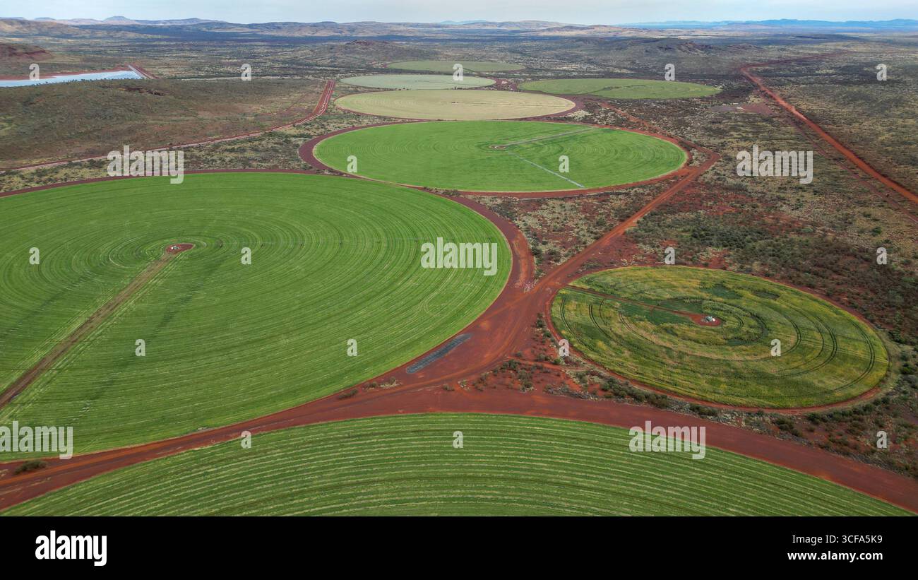 Green circular fields in the outback of Western Australia, seen from ...