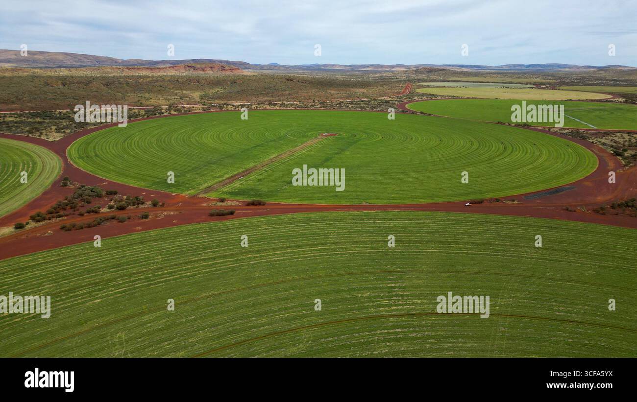 Green circular fields in the outback of Western Australia, seen from ...