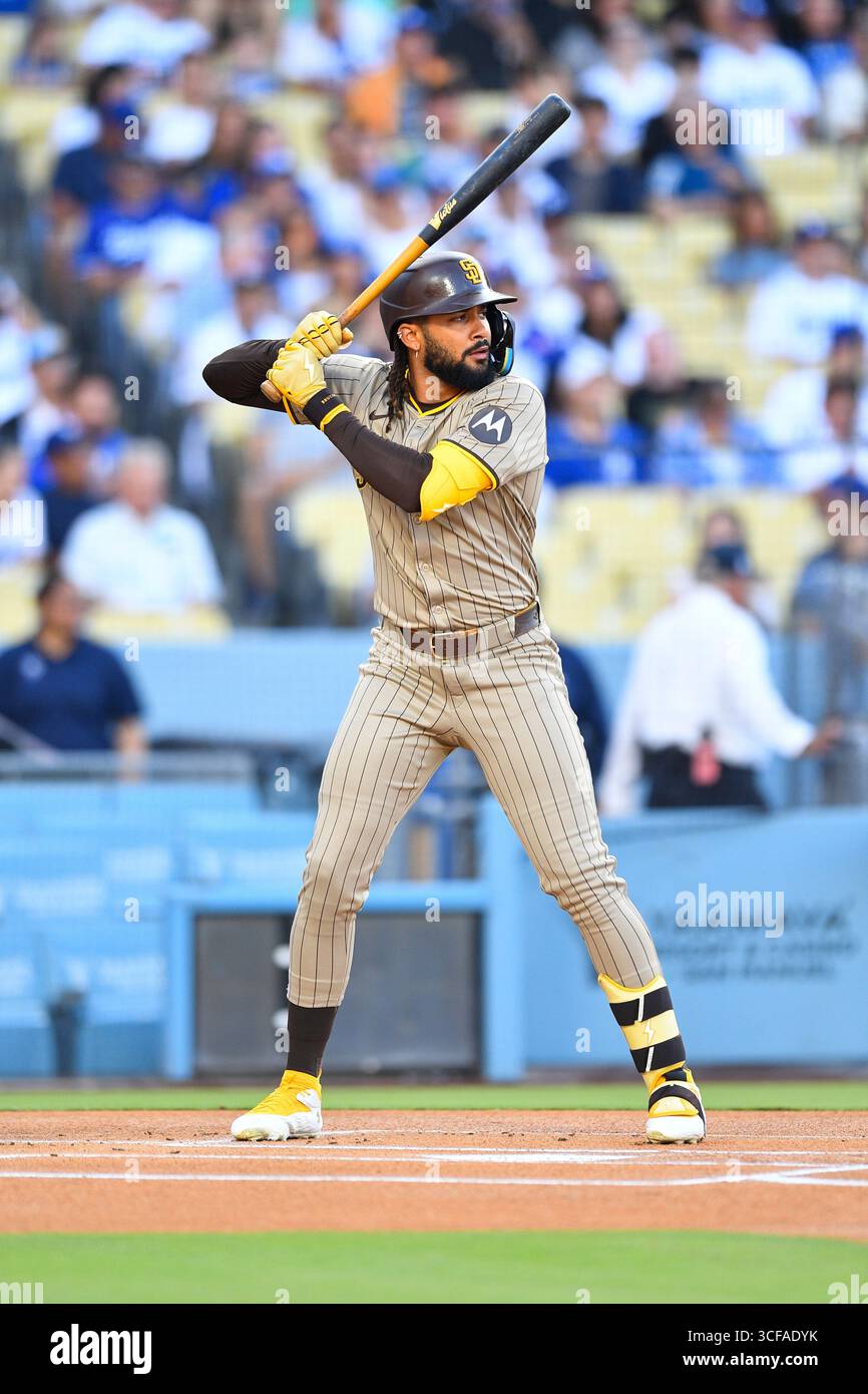 LOS ANGELES, CA - AUGUST 15: San Diego Padres right fielder Fernando ...