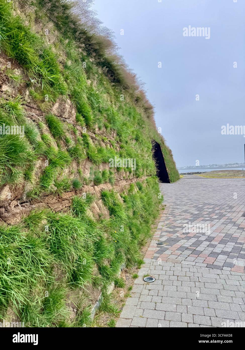 Grasses growing out from rock wall facade at the entrance to Sky Lagoon geothermal spa in Kópavogur, a short drive for Reykjavik. - Smartphone Captured Stock Image