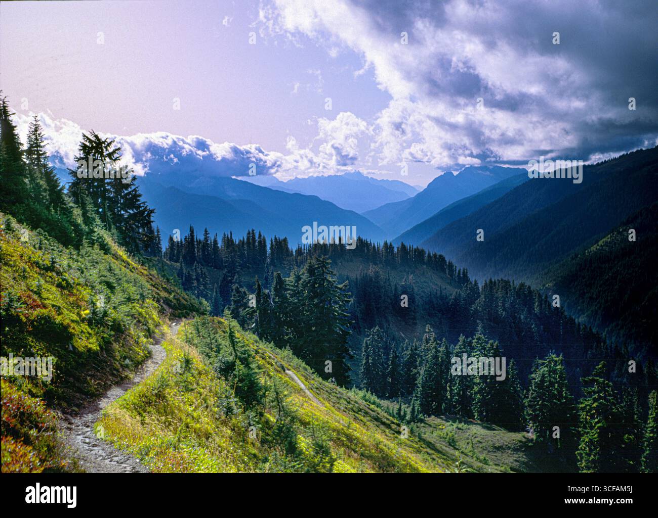 White chuck river trail hi-res stock photography and images - Alamy