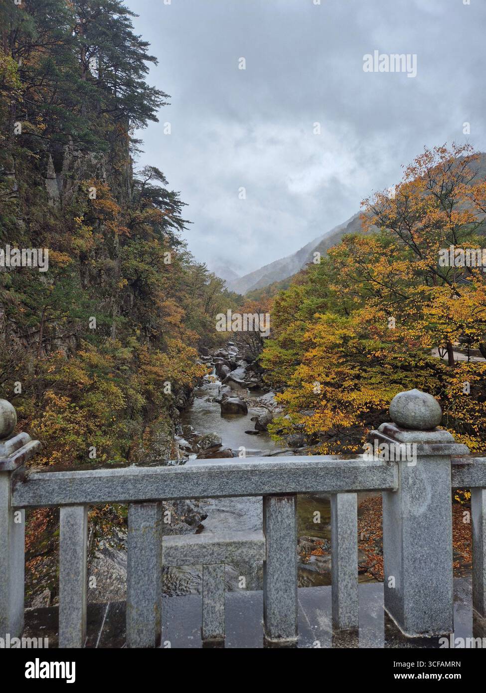 A tranquil autumn mountain valley in South Korea. - Smartphone Captured Stock Image