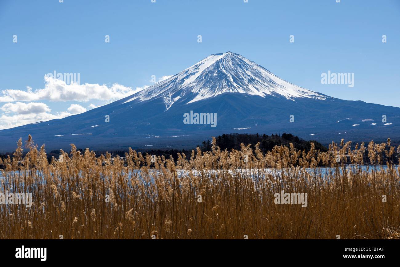 Mt. Fuji, Japan Stock Photo