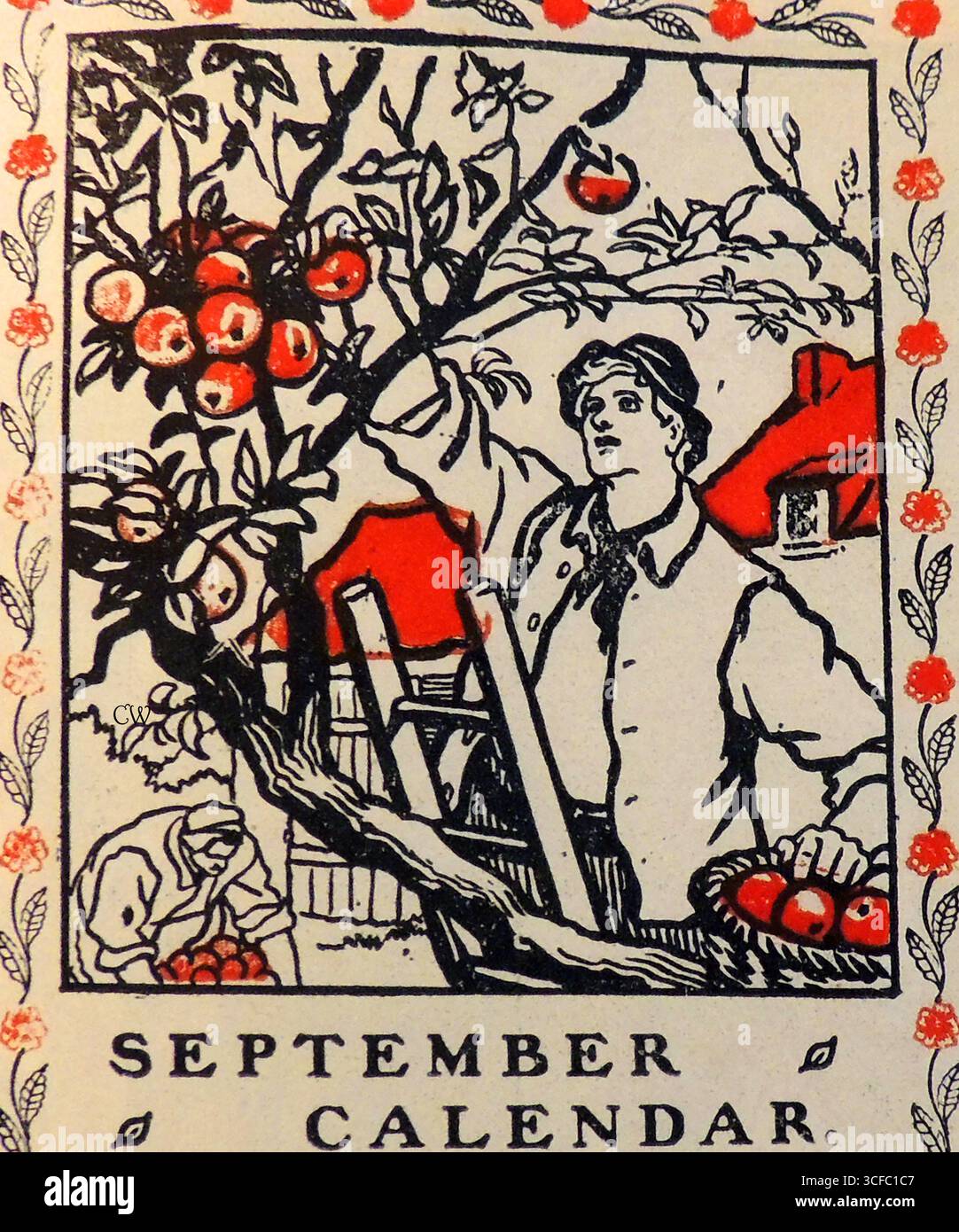 Apple picking - from a 1908 English calendar Stock Photo - Alamy