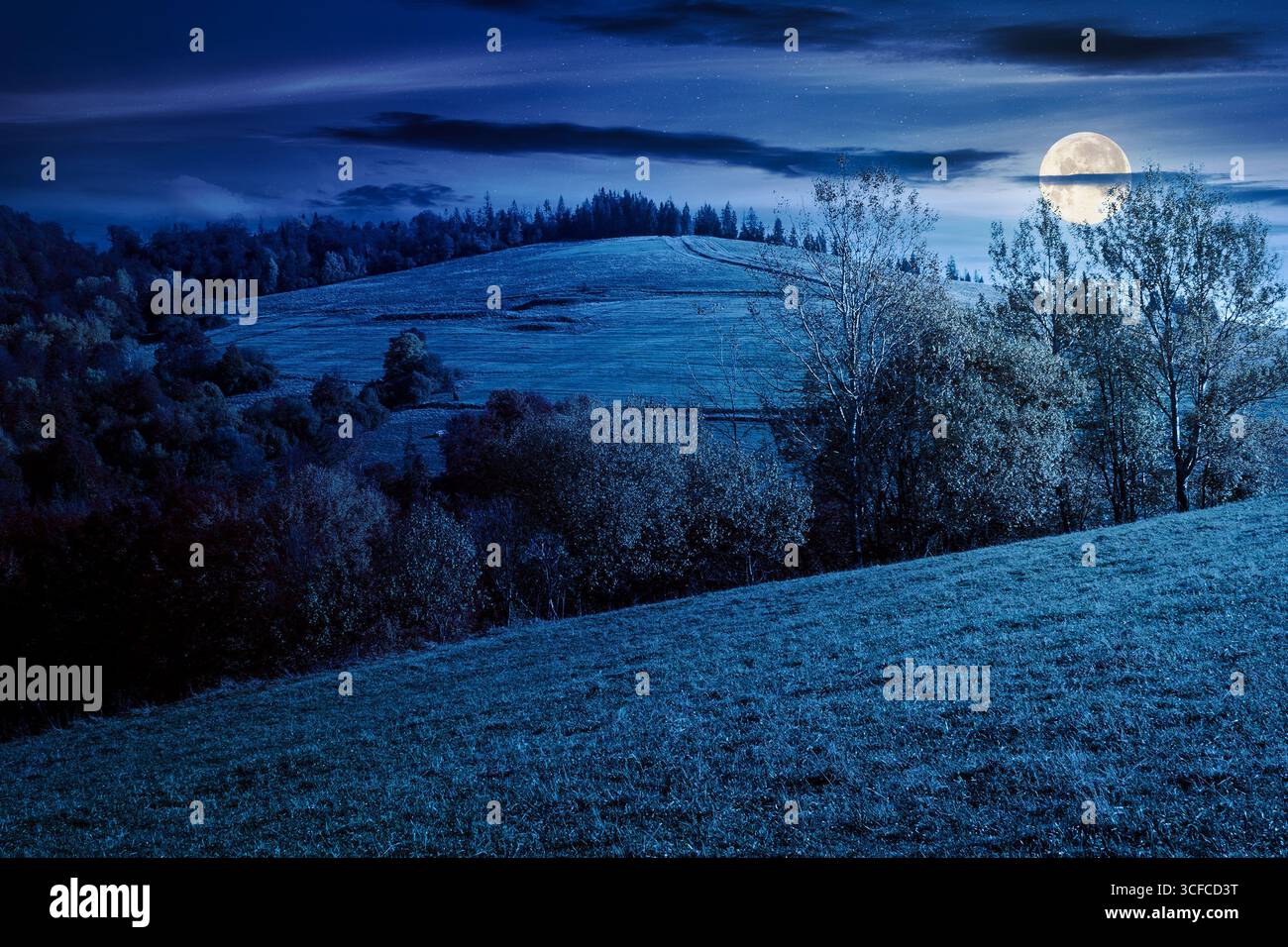 mountain landscape with forest in autumn at night. beautiful countryside in the highland. grove on the hill in colorful foliage under sky in full moon Stock Photo