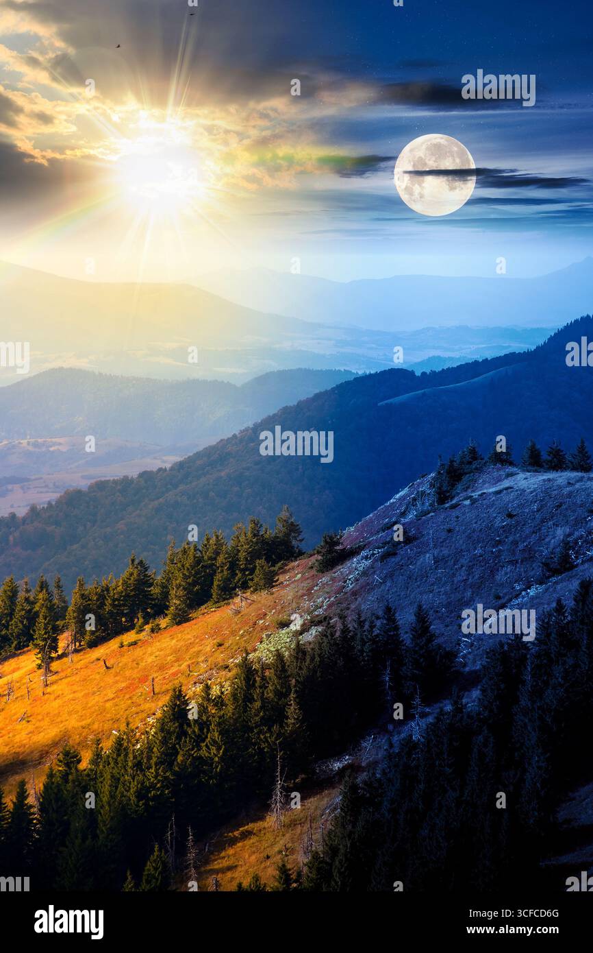 fir trees on a meadow down the hill. day and night time change concept. coniferous forest in mountains with sun and moon at twilight. steep hillside i Stock Photo