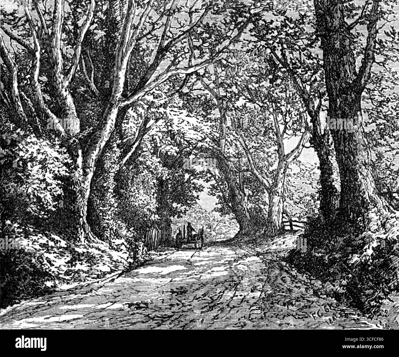 Illustrations from new books - An English lane: from 