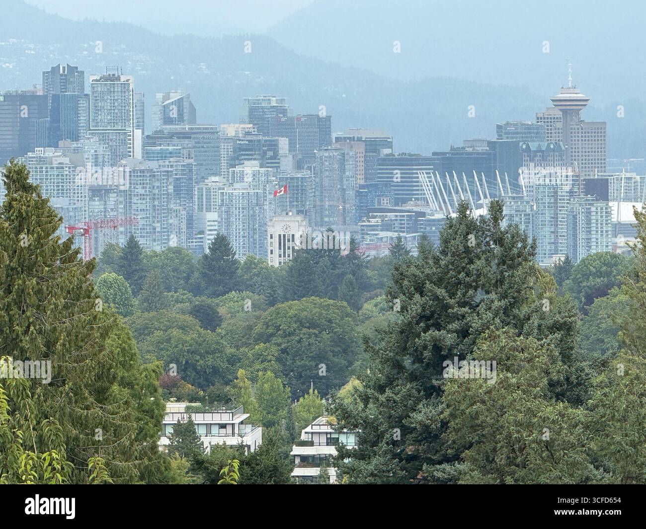 ‎⁨Mouse on Palm Leaf, Vancouver⁩, ⁨British Columbia⁩, ⁨Canada⁩ - Smartphone Captured Stock Image