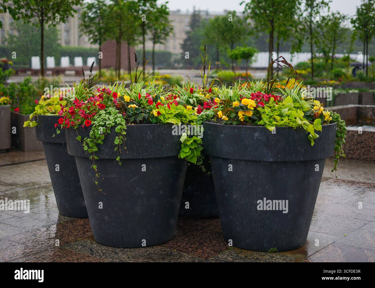 Outdoor Floral Planters Displaying Vibrant Blooms in Urban Setting Stock Photo