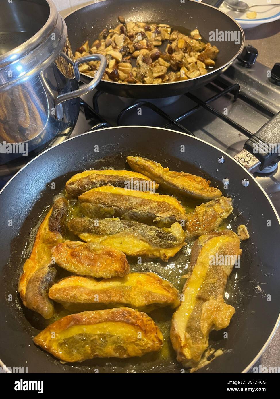 Boletus cutlets, Italy - Smartphone Captured Stock Image