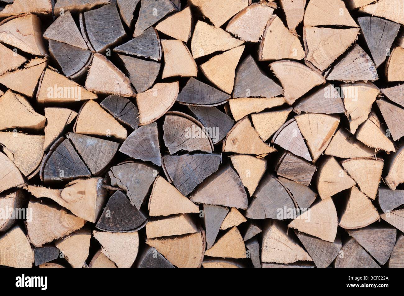 Stack of Chopped Wood Stock Photo