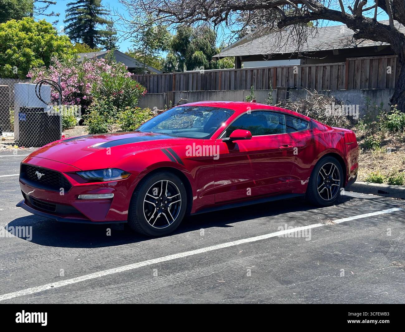 A bright red Ford Mustang sports car parked in a residential parking lot on a sunny day. The modern coupe features sleek design, black alloy wheels, a - Smartphone Captured Stock Image