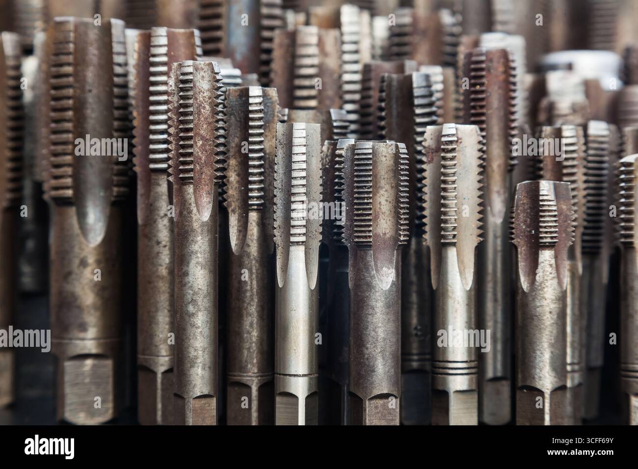 Multiple thread taps in different sizes, front view. Threading tool ...