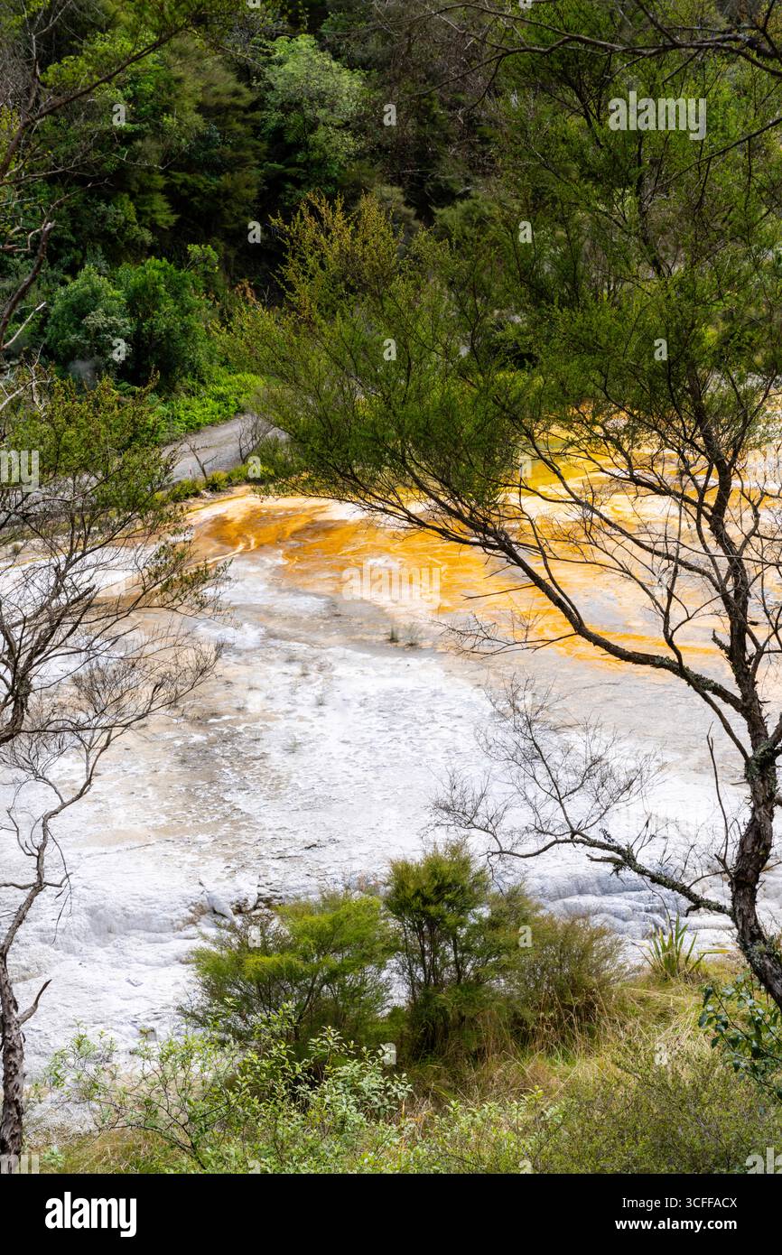 Photograph of thermal features at Waimangu Volcanic Valley near Rotorua ...