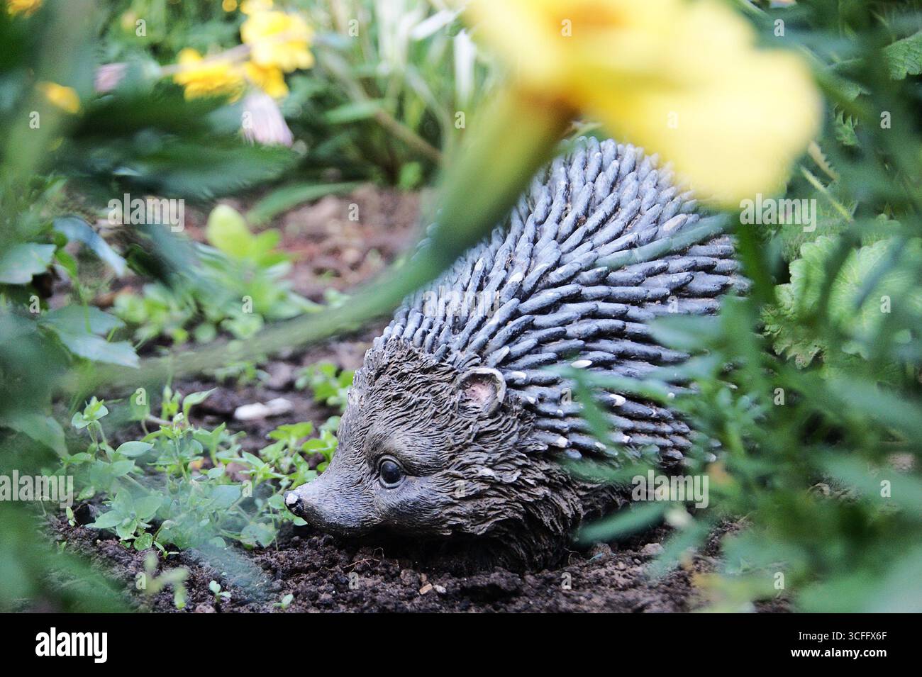 Ornamental hedgehog, garden decoration in summer. Grass, greenery, village life. - Stock Image