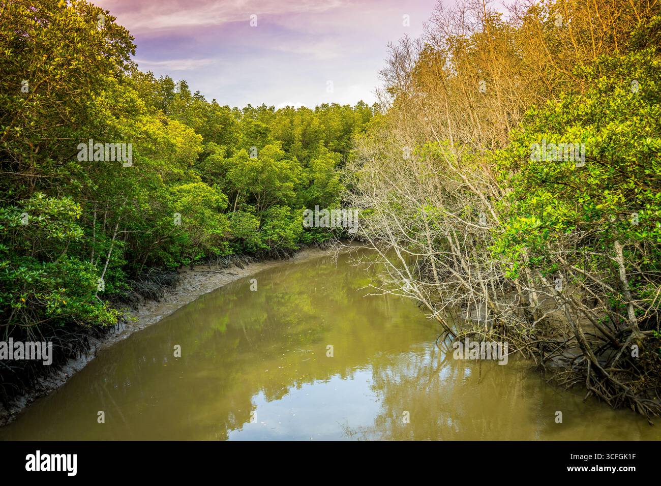 Transparent can hi-res stock photography and images - Alamy