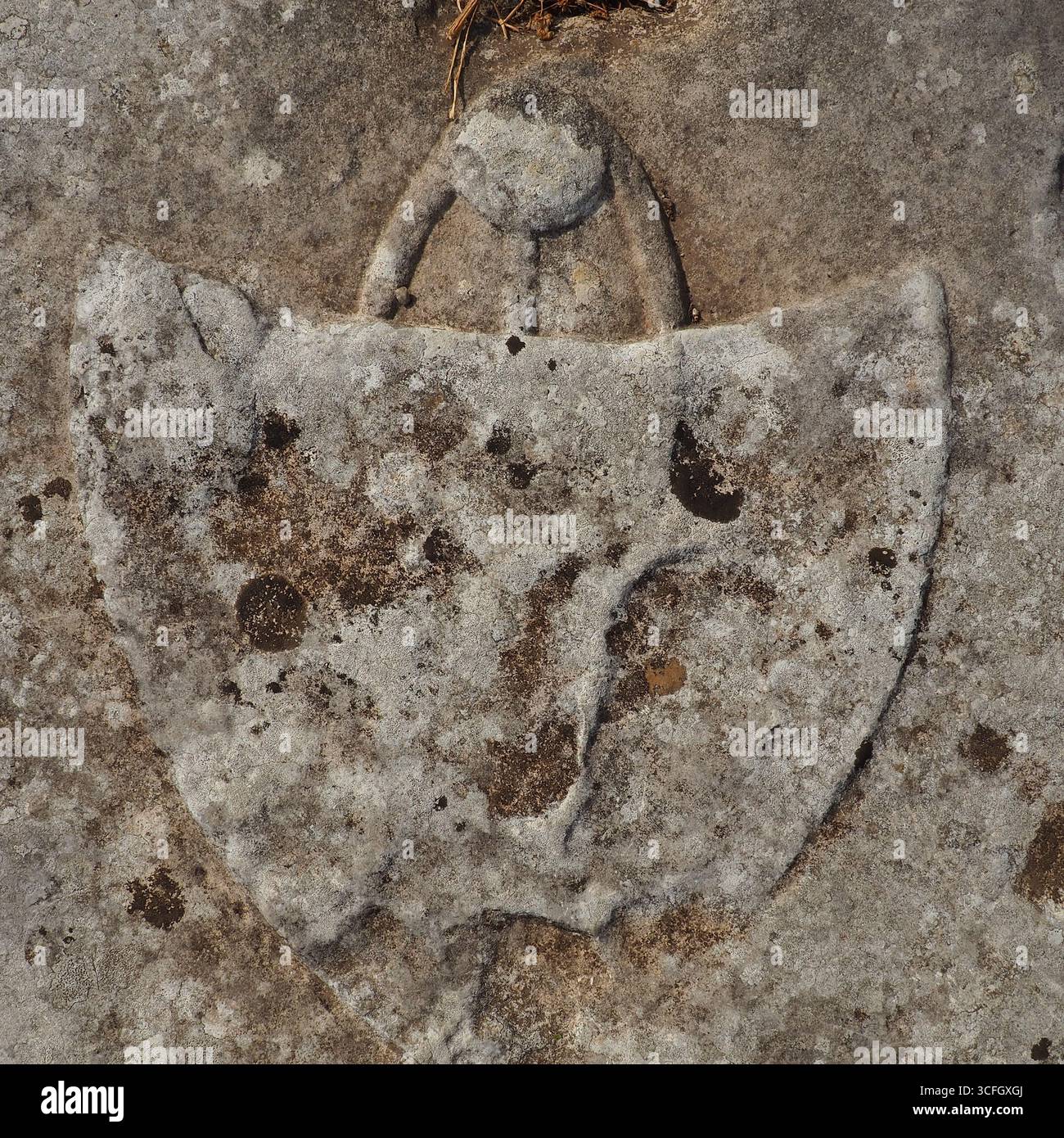 Exploration of Kotor reveals a stunning family crest carved into ...