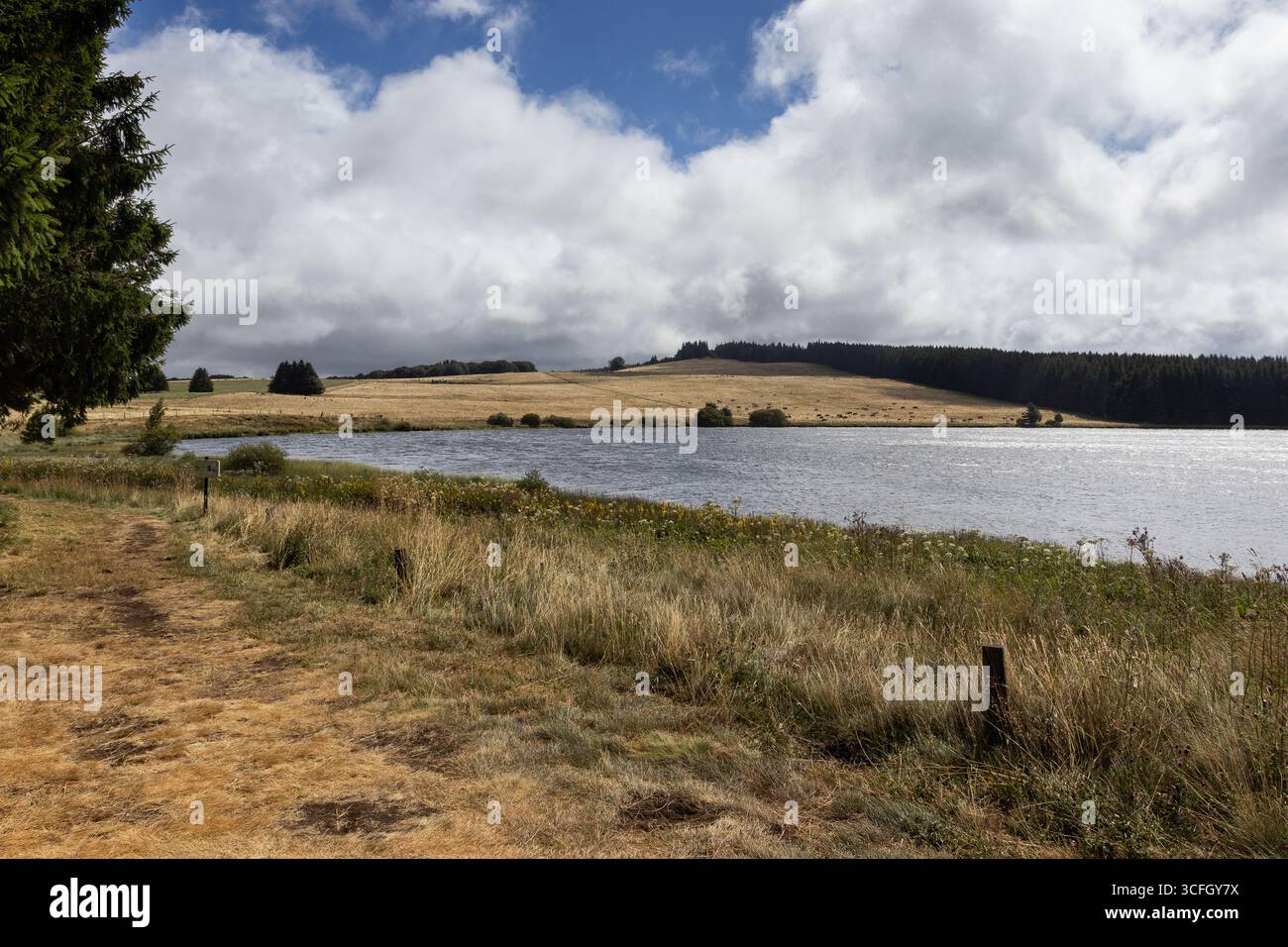 Summer view of Lac de Bourdouze near Besse-et-Saint-Anastaise in the Puy de Dome region of France. Copy space. - Stock Image