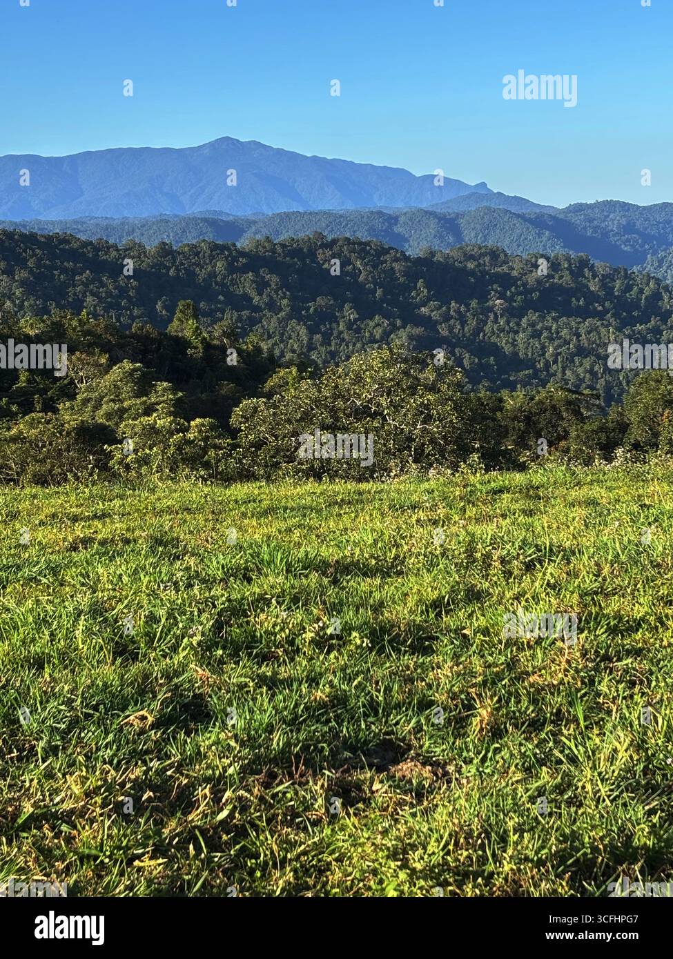 View east from Mungalli dairy paddocks across Chooriechillum (Bartle Frere) including Broken Nose, Atherton Tablelands, Queensland, Australia - Smartphone Captured Stock Image