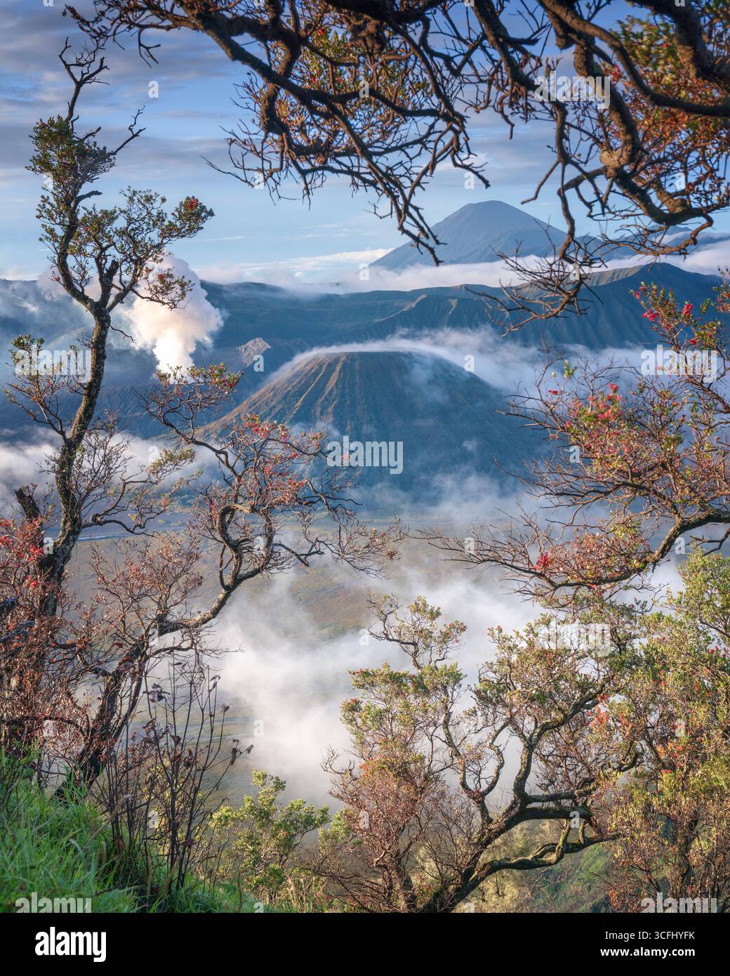 Mount Bromo Java Location Mount Bromo, located in East Java, Indonesia, is a breathtaking ...