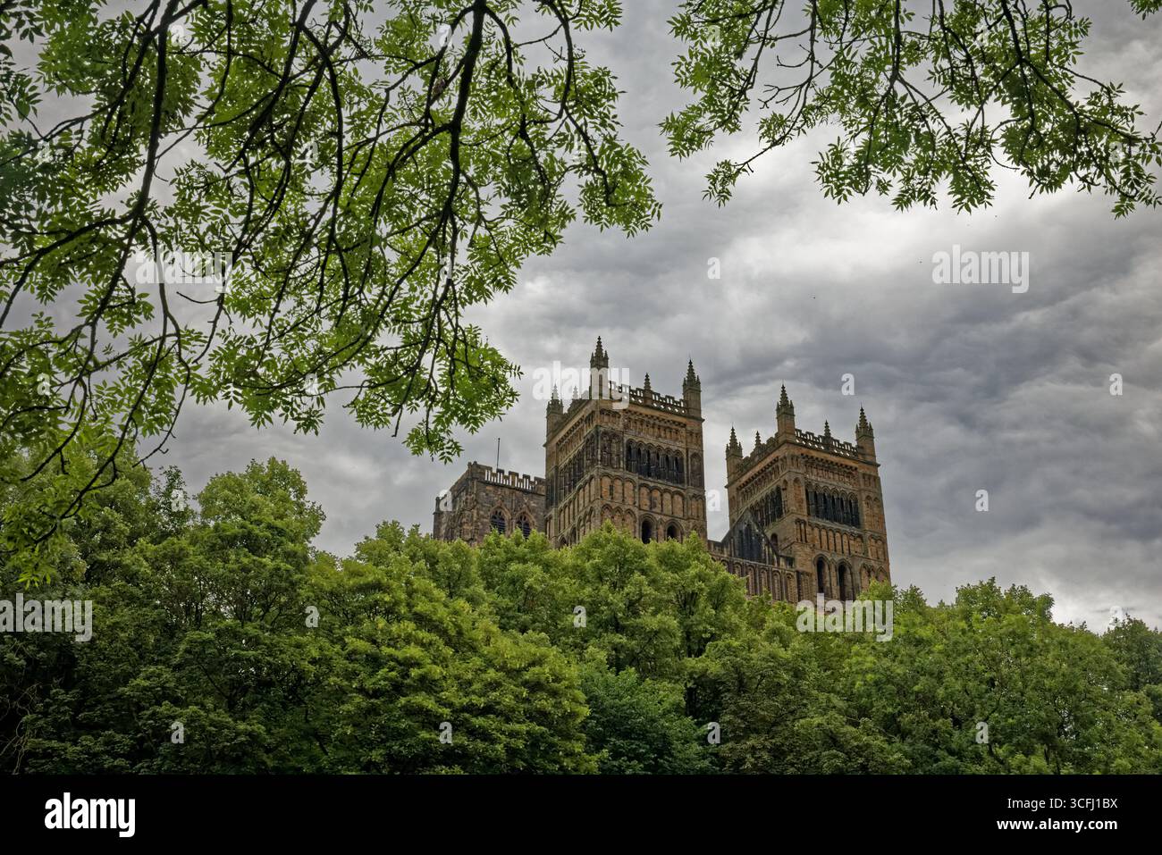 The ancient gothic towers of the cathedral rise above the tree canopy ...