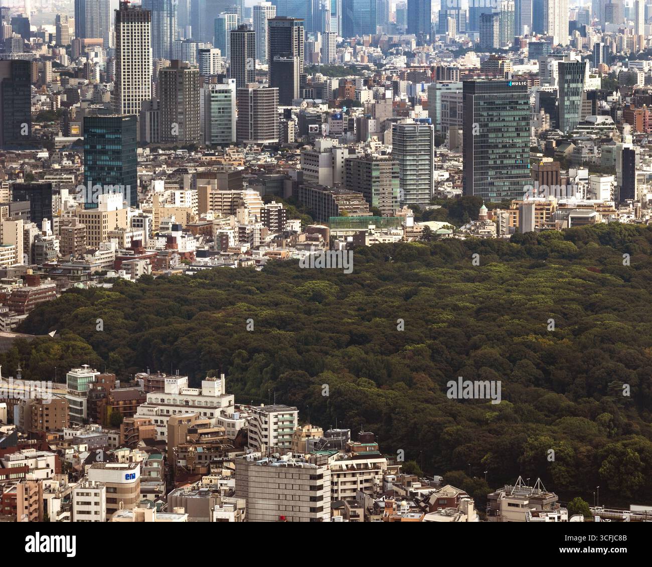 View of Shinjuku Gyoen National Garden from the Government Metropolitan building, Tokyo 2025 - Stock Image