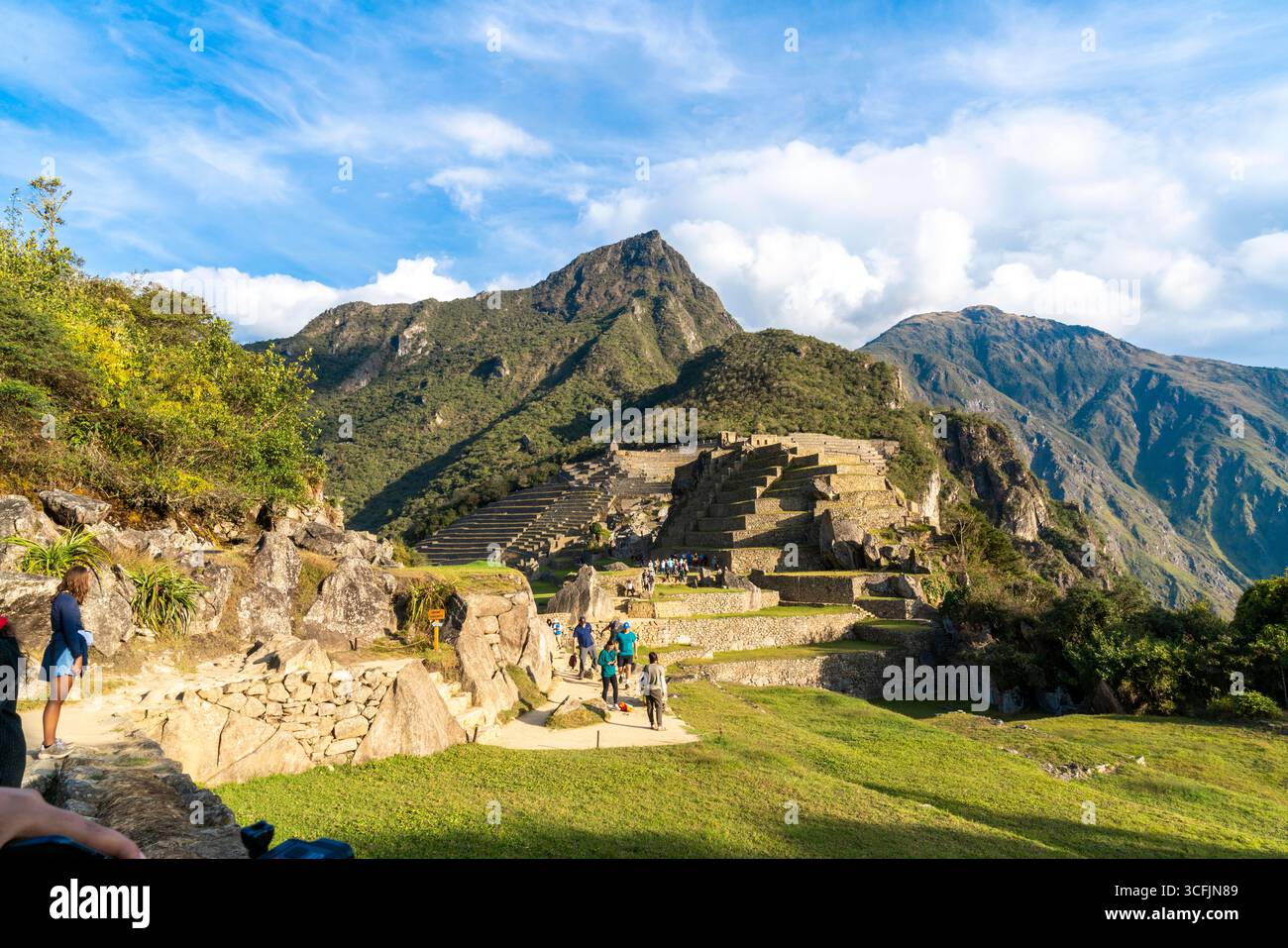 Wide view of Machu Picchu ruins with Inca terraces, green valley, stone ...