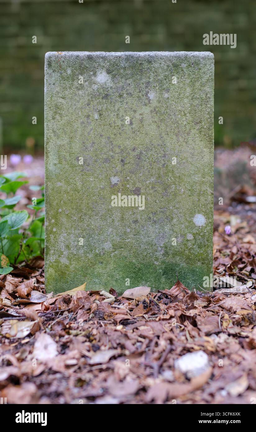 Old sandstone gravestone hi-res stock photography and images - Alamy